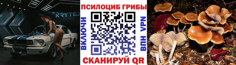 Галлюциногенные грибы GOLDEN TEACHER Пустошка